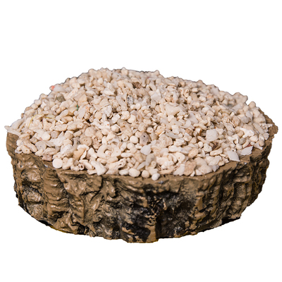 寄居蟹垫材底沙菲律宾沙免洗沙