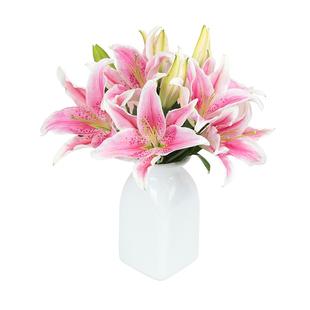 花点时间香水百合鲜花云南直发昆明基地鲜切花百合花水养插花家用