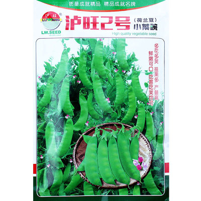 蔬菜孑四季特级高产碗豆种子