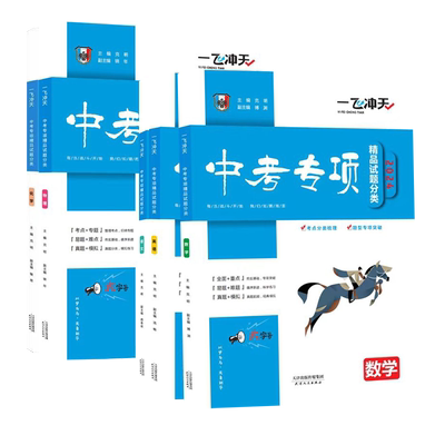 一飞冲天2025中考专项精品试题