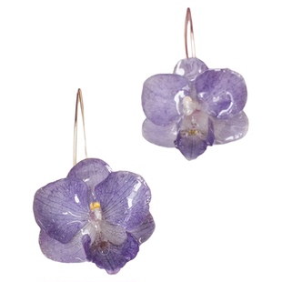 森系超仙永生花蝴蝶兰耳环真花爆款耳饰女气质天然干花真花耳坠