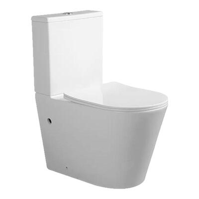 澳标CE Watermark Toilet Two Piece Dual Flush Button 马桶