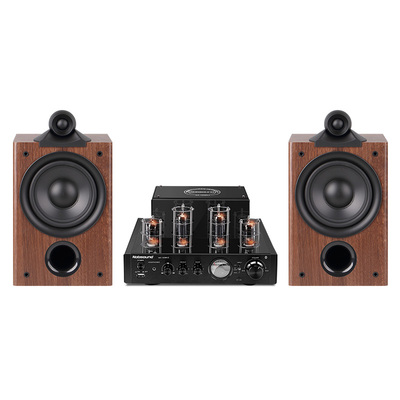 诺普声CQ110 高保真hifi胆机音响组合功放机鹦鹉螺5.5寸书架音箱