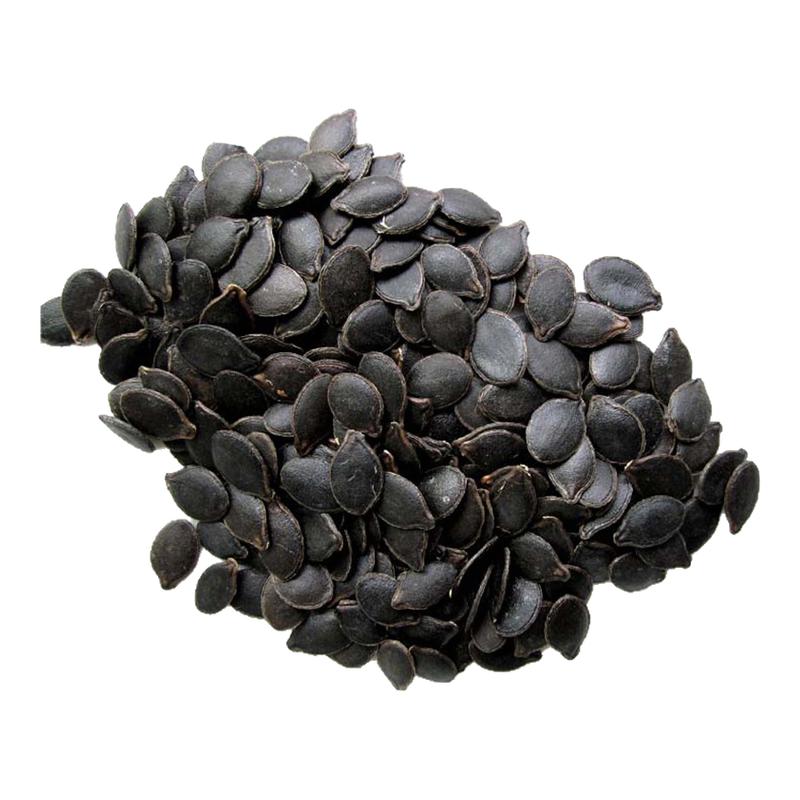 砧木南瓜番茄种子籽种籽嫁接专用