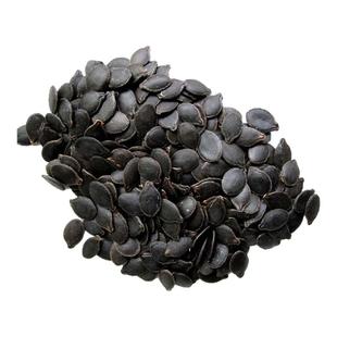 嫁接用黑籽南瓜种子籽孑番茄辣椒西瓜种子茄子沾粘贴砧木种子500g