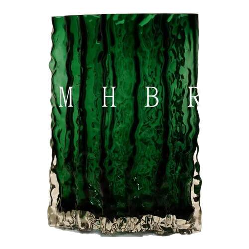 ins风高级感家用轻奢水培花瓶玻璃透明插花玫瑰鲜花客厅餐桌摆件