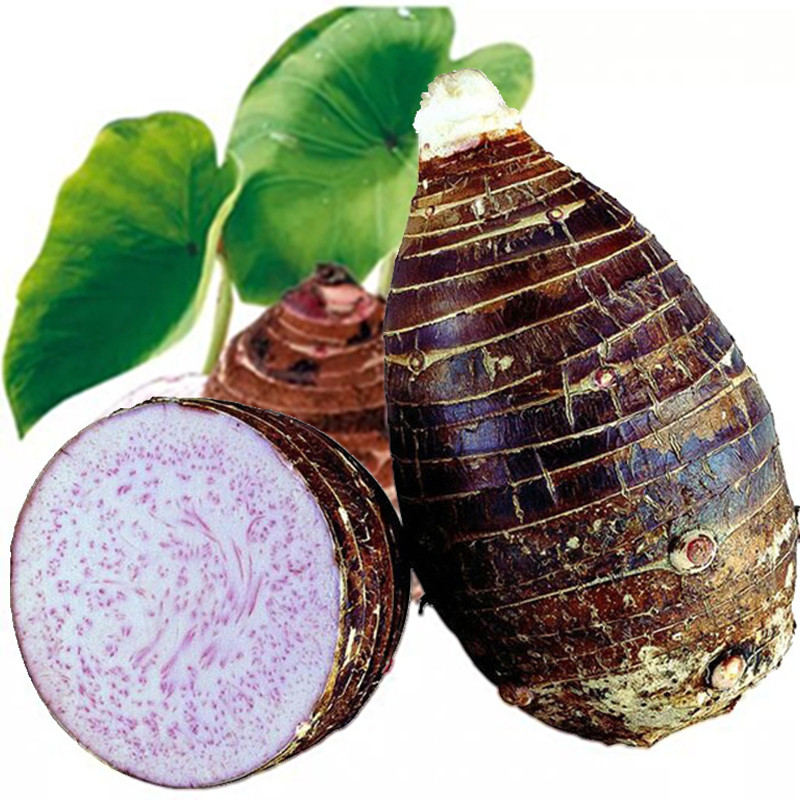 广西特产 新鲜正宗贡品荔浦芋头 甜品店生鲜绿色蔬菜5斤2个大芋头