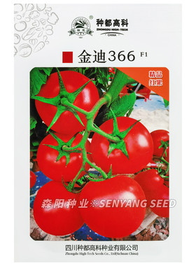 金迪366早中熟大红果番茄种子