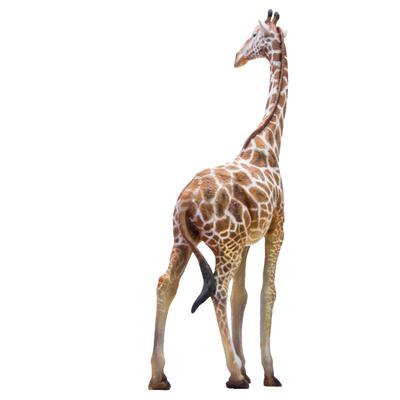 PNSO模型奔巴动物园成长陪伴