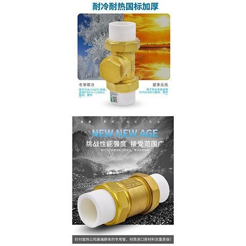 PPR止回阀黄铜卧式立式止回阀止阀管材单向阀配件水管管件逆倒流