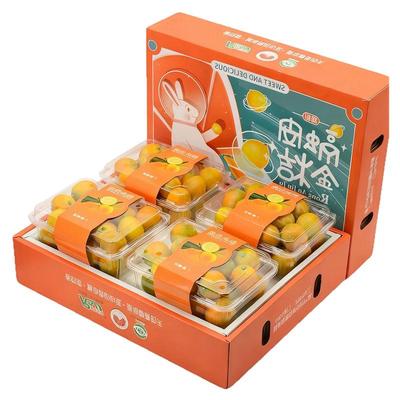 顺丰次日达！融安脆皮金桔礼盒