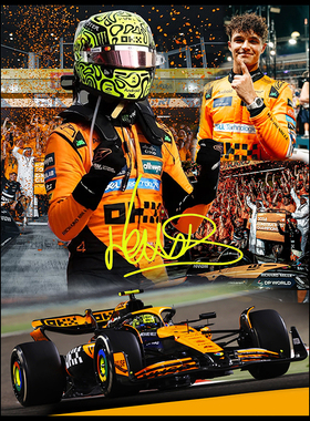 F1赛车手装饰画汉密尔顿费尔南多