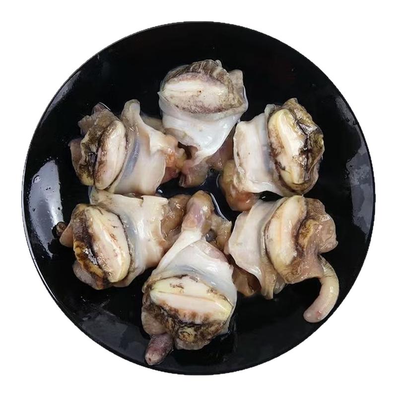 丹东新鲜冷冻大号海螺头肉即食