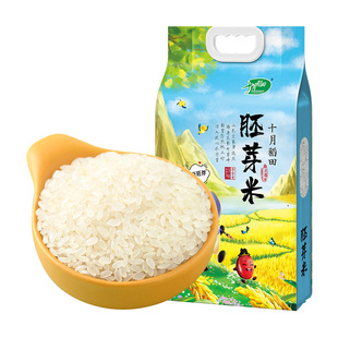 2025新米十月稻田胚芽米东北大米保留胚芽米饭香糯双层真空装5斤