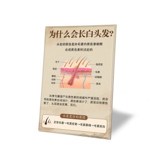 头皮检测对比图摆台画头皮毛发结构护理白转黑养发馆头疗宣传广告