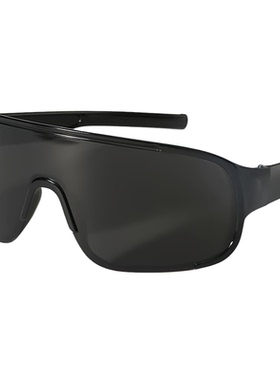 复古超大框户外骑行登山滑雪防风护目镜墨镜防晒连体太阳眼镜男女