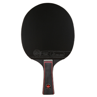 CnsTT凯斯汀专业乒乓球拍睿博五DIY手工拍七层底板直横拍双面反胶