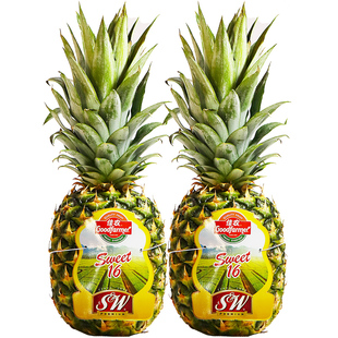 佳农凤梨水果 新鲜2个大果 削皮即食 sw菲律宾进口凤梨新鲜水果