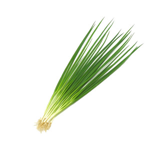 四季小香葱蔬菜种子庭院阳台家庭种植盆栽大全播易种蔬果种籽