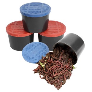 钓鱼蚯蚓活饵大号红蚯蚓土1斤活体盒装红虫鱼饵垂钓活饵料散装