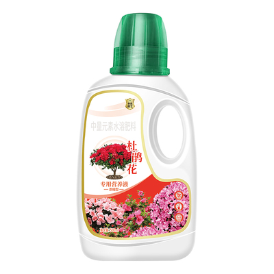 杜鹃花专用营养液肥料专用肥