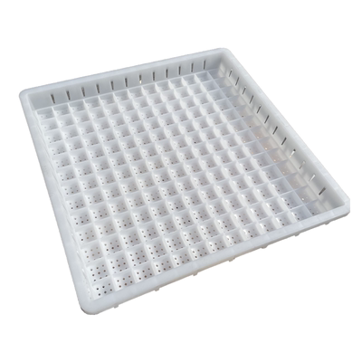 塑料包浆豆腐专用一体模具筐