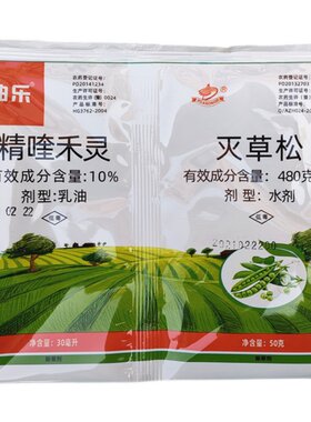 大农曲乐豌豆蚕豆四季豆豆类