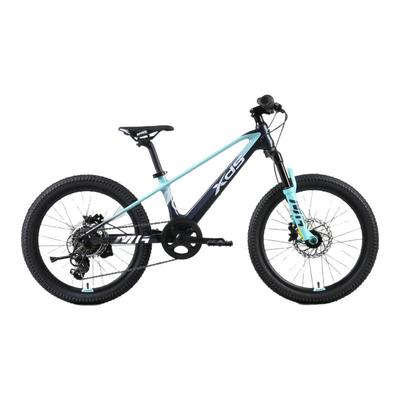 喜德盛2025款镁合金青少年山地车