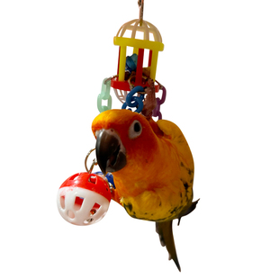 鹦鹉鸟笼啃咬玩具牡丹玄凤和尚亚克力铃铛球小太阳鸟架挂饰解闷球