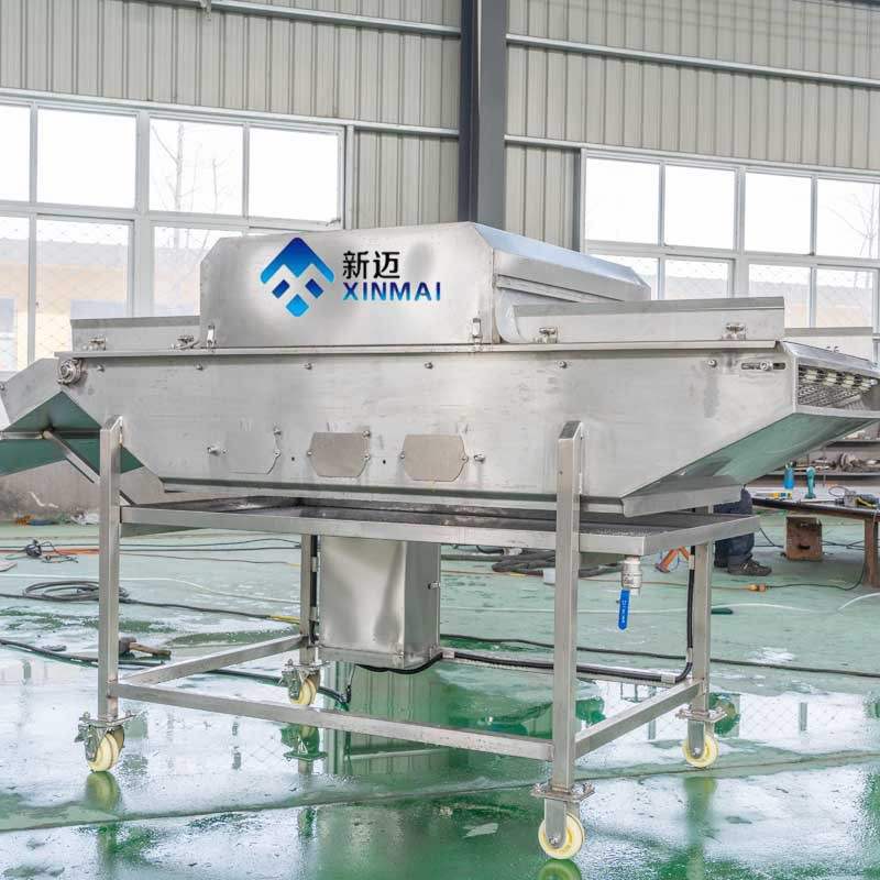 大虾刀鱼段挂冰机 基围虾速冻挂冰机 海参鲍鱼龙虾尾挂冰机