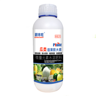 甜瓜座果灵膨大素甜瓜授粉坐果精甜瓜膨大无畸形不裂瓜催熟增甜剂