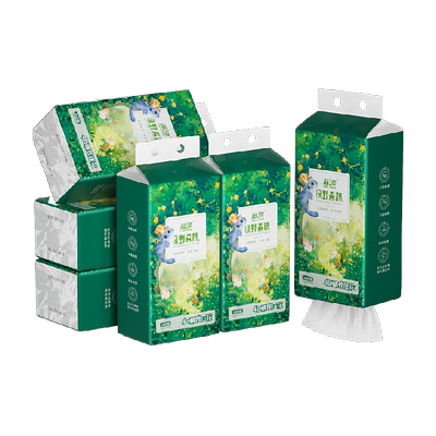 蓝漂悬挂纸巾250抽×10提