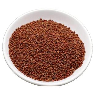 楮实子500克中药材新货楮实子构树米构树果实搭威灵仙泡水功效