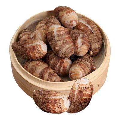 金坛正宗建昌红香芋现挖现发芋艿新鲜软糯香红芽芋蔬菜小芋头常州