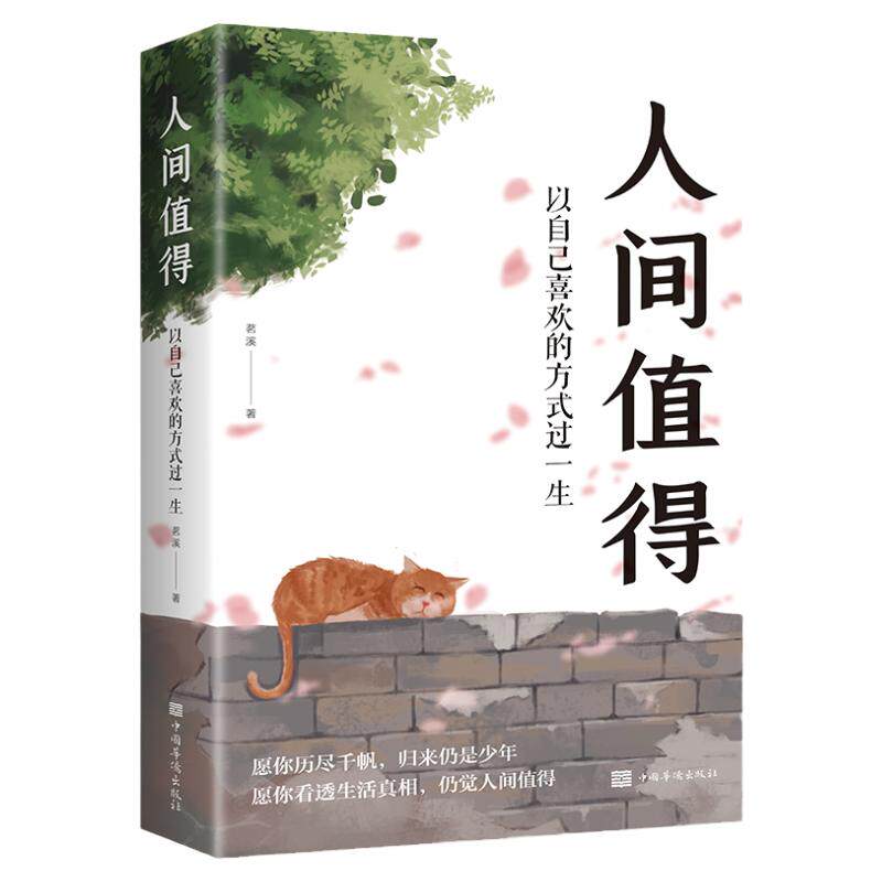 人间值得正版书以自己喜欢的方式儿童文学