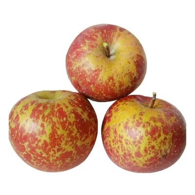 水果大凉山昭通高原丑苹果脆甜苹果汁甜整箱红露苹果凉山多汁现摘