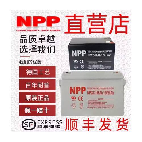 NPP耐普蓄电池NPG12V712243865100120150200AH消防EUPS