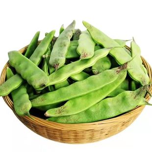 正宗东北油豆角新鲜现摘一点红油豆九月青纯油豆面豆开锅烂包邮顺