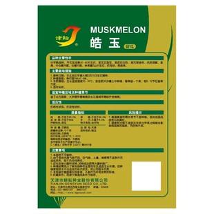 皓玉甜瓜种籽早熟春季白皮香瓜种孑水果超甜特大四季超甜甜瓜种子