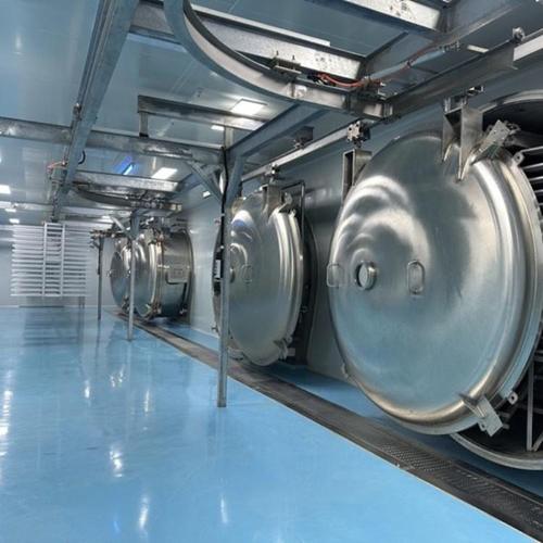 冷冻式真空干燥机设备源头工厂 蔬菜水果食品低温双锥真空冻干机