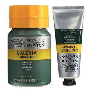 温莎牛顿画廊丙烯颜料手绘墙绘专用画DIY艺术颜料 金色钛白色学生手绘涂鸦颜料 60ml 250ml