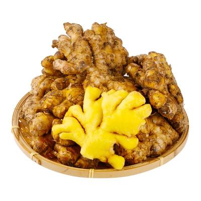 云南小黄姜新鲜现挖月子食用