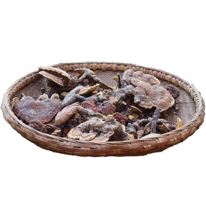 干货泡茶打粉煲汤赤黑无硫熏灵芝