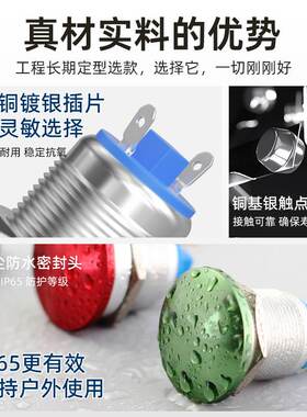 161922mm红波金属蘑菇按钮开关红色防水点绿动电源24220V按键复位