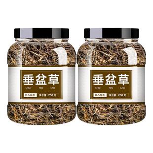 垂盆草中药材500g正品官方旗舰店肝护泡茶泡水垂盆草的功效与作用