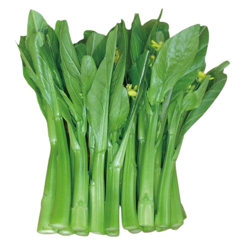 连州菜心种子种籽广东菜苔四季蔬菜孑迟甜菜心南方秋后菜种菜籽