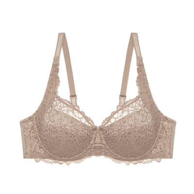 专柜正品黛安芬19-575经典文胸