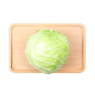 【小汤山】结球生菜 约350g 新鲜蔬菜当天采摘北京农场顺丰到家