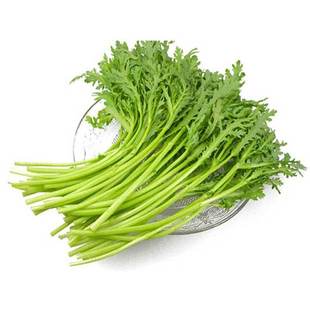 小叶茼蒿种子皇帝菜种籽光杆蔬菜多次采收庭院阳台四季高产包邮