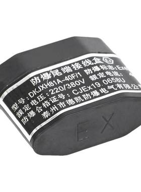伴热带防爆尾端接线盒终端接线盒